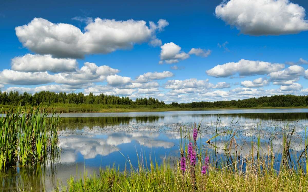 ���� ������������. ����� �������� �������� �� PhotoGeek.ru #������ ��� �������