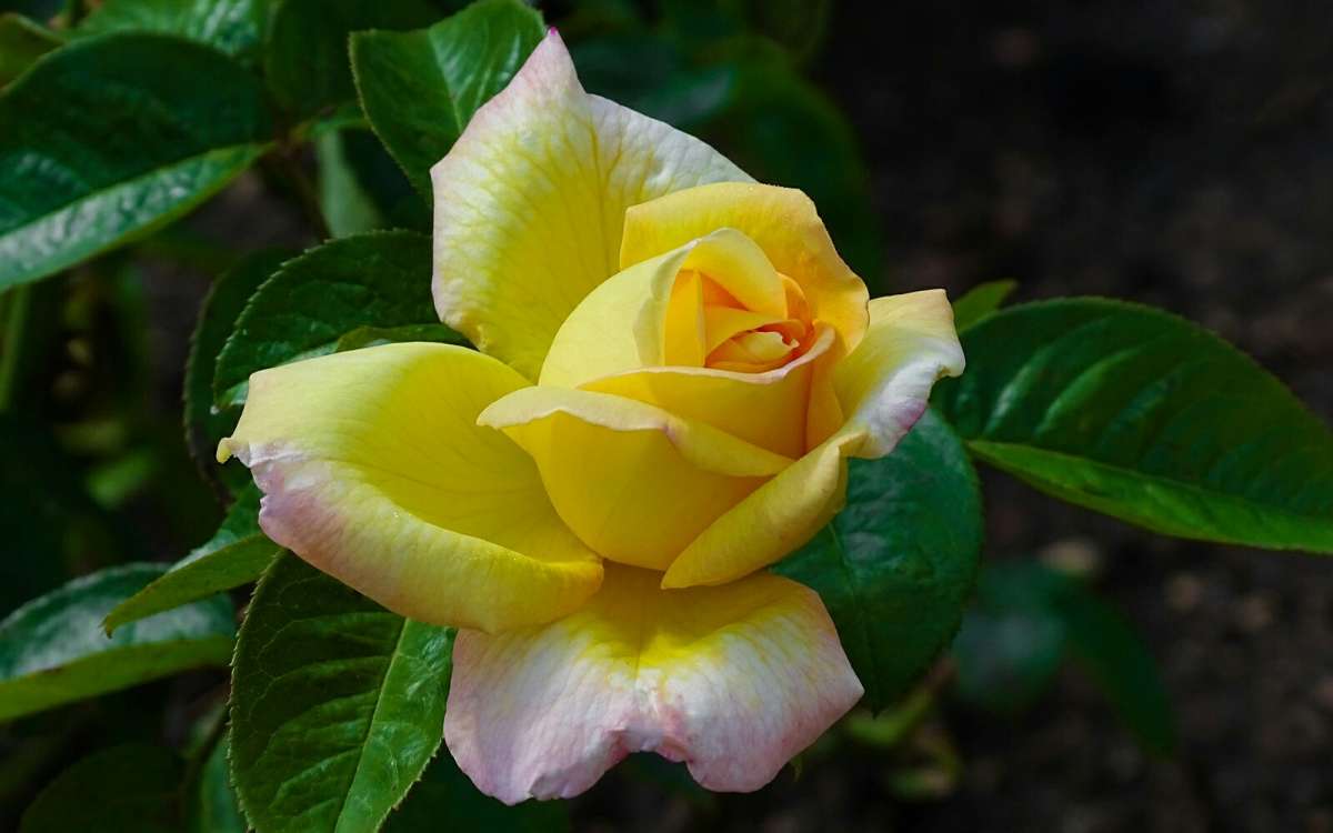 ��������� �����. ����� �������� �������� �� PhotoGeek.ru #����� #�����