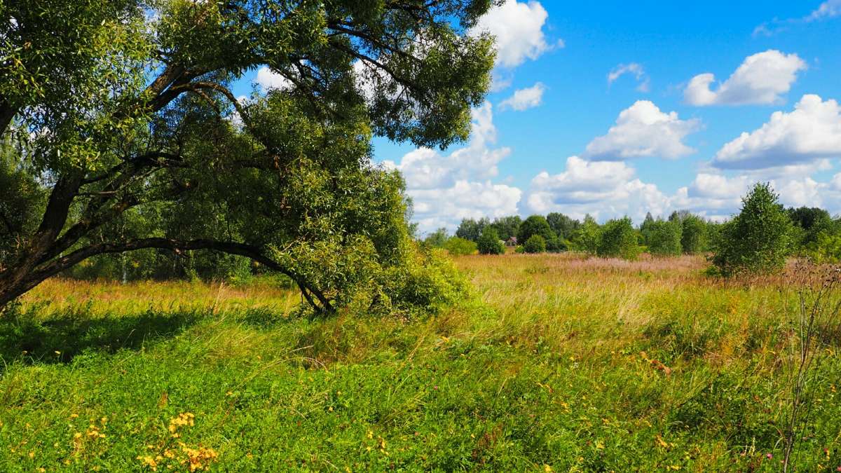 ������ �� ����������. ����� �������� �������� �� PhotoGeek.ru #������ ��� �������