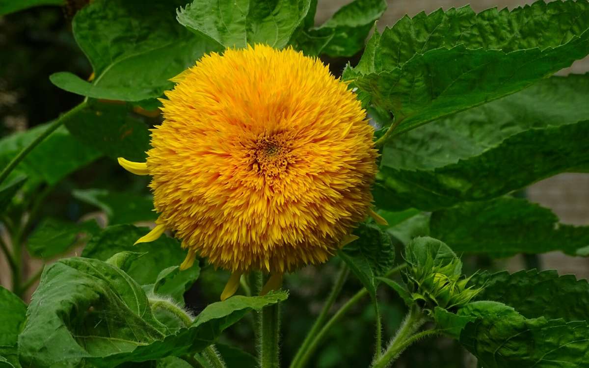 ������������ ���������. ����� �������� �������� �� PhotoGeek.ru #����� #�����