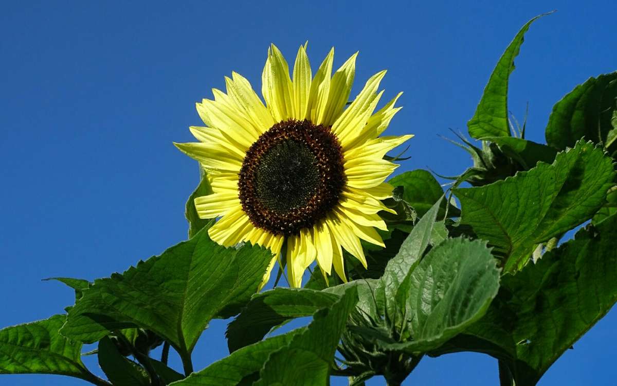 ������������ ���������. ����� �������� �������� �� PhotoGeek.ru #����� #�����