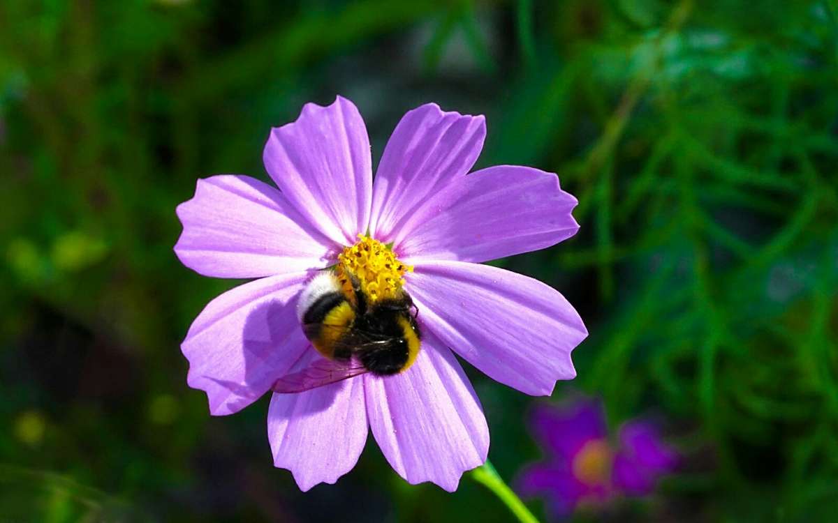 �������� ����. ����� �������� �������� �� PhotoGeek.ru #����� #�������