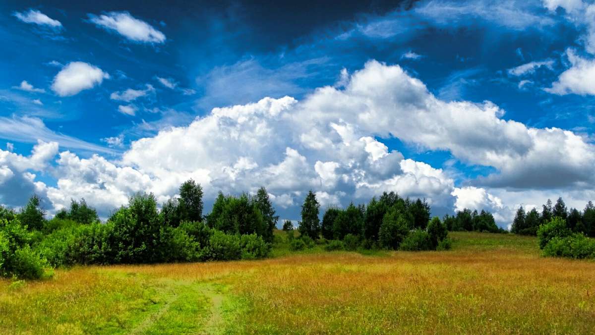 ��� ������. ����� �������� �������� �� PhotoGeek.ru #������ ��� �������