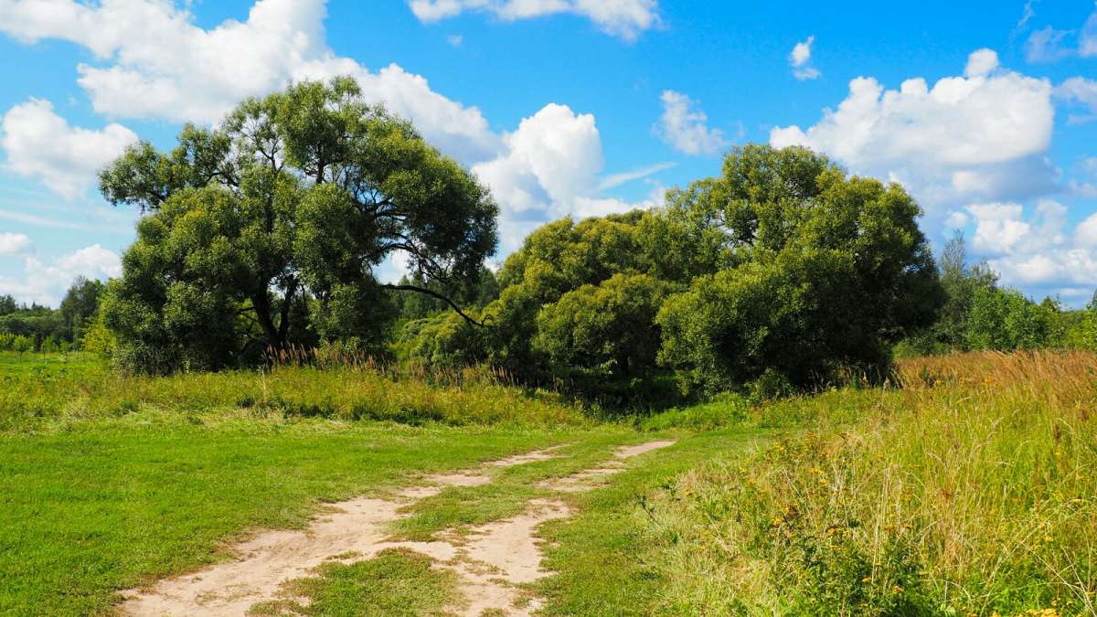 ������ ������. ����� �������� �������� �� PhotoGeek.ru #������ ��� �������