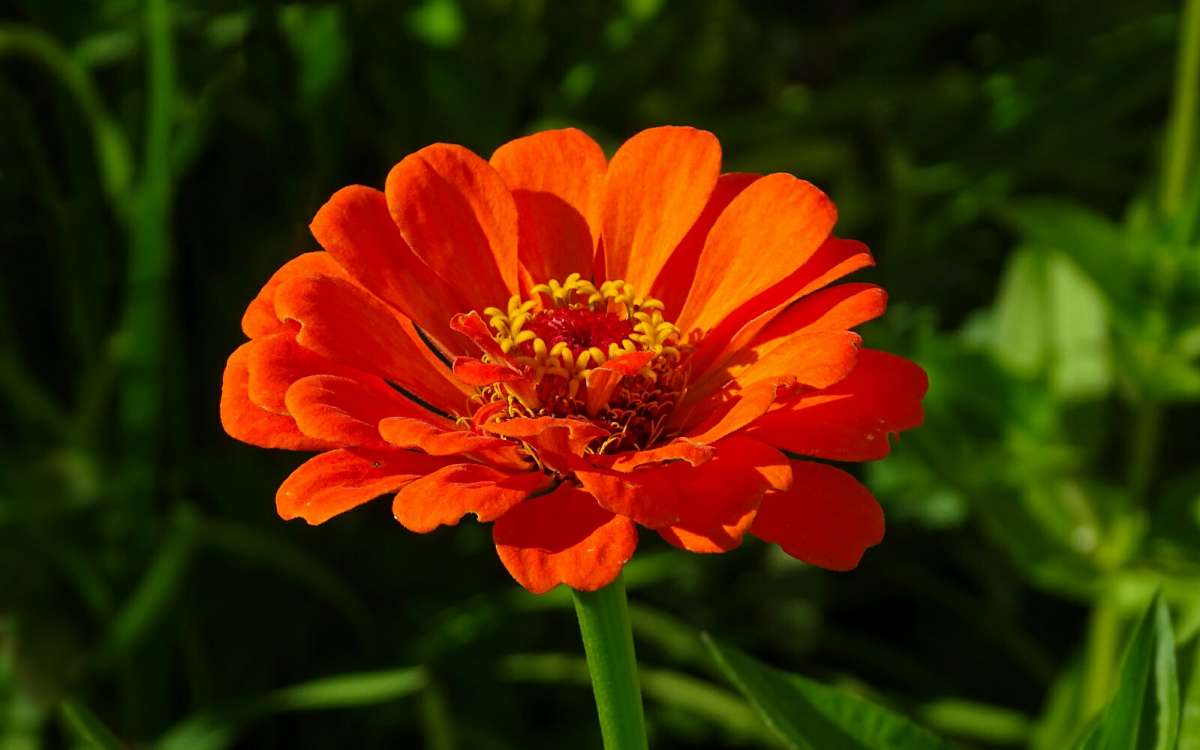 ��������� ����� ����� �������� �������� �� PhotoGeek.ru #����� #�����