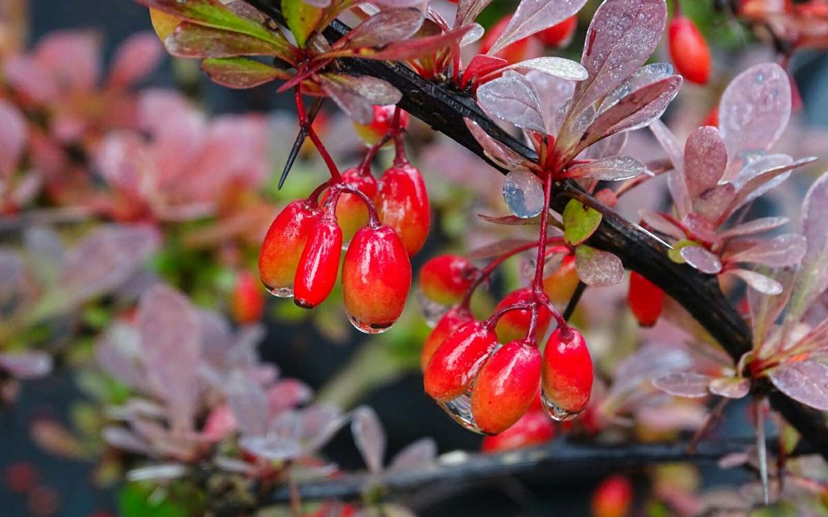 �������� ��� �����. ����� �������� �������� �� PhotoGeek.ru #����� #�����