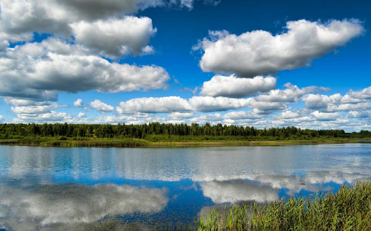 ��� ����. ����� �������� �������� �� PhotoGeek.ru #������ ��� �������