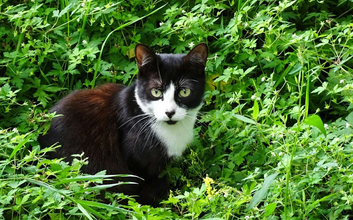 ����� �����. ����� �������� �������� �� PhotoGeek.ru #����� #�������� ���