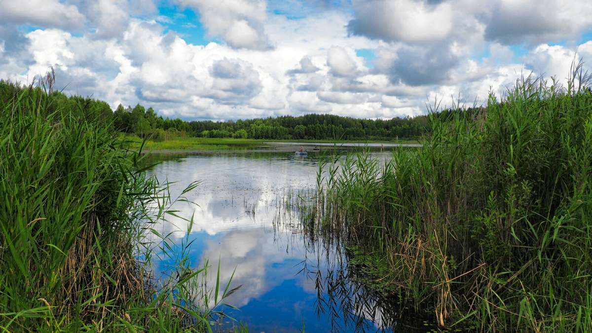 ������ �� ����������. ����� �������� �������� �� PhotoGeek.ru #������ ��� �������