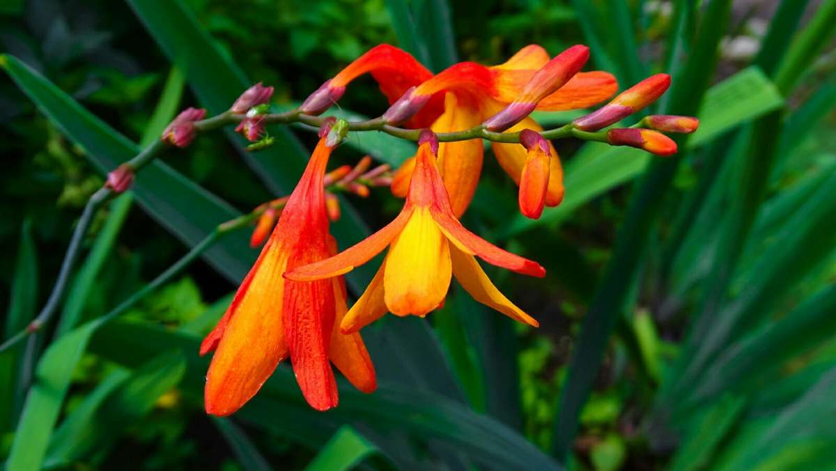 ��������� ����� ����� �������� �������� �� PhotoGeek.ru #�����