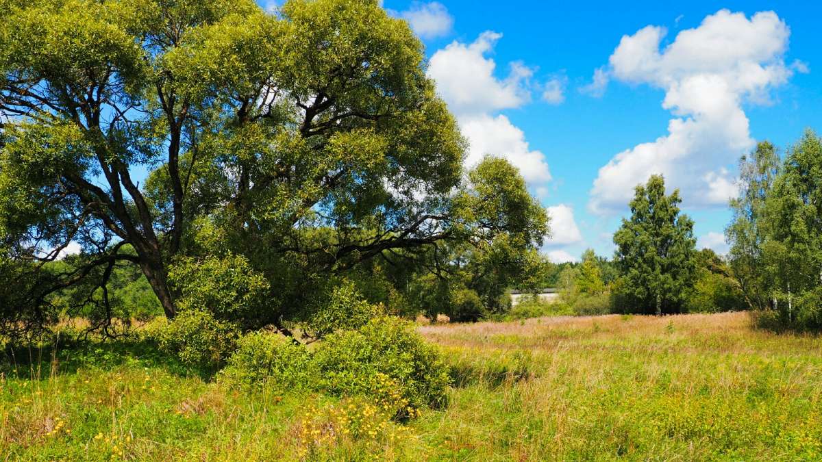 ���� - ������. ����� �������� �������� �� PhotoGeek.ru #������ ��� �������