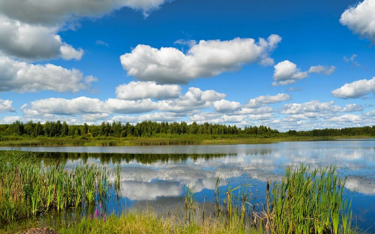 ���� ������������. ����� �������� �������� �� PhotoGeek.ru #������ ��� �������