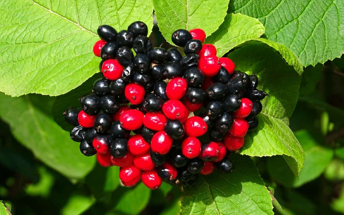 ����� ������. ����� �������� �������� �� PhotoGeek.ru #����� #�����