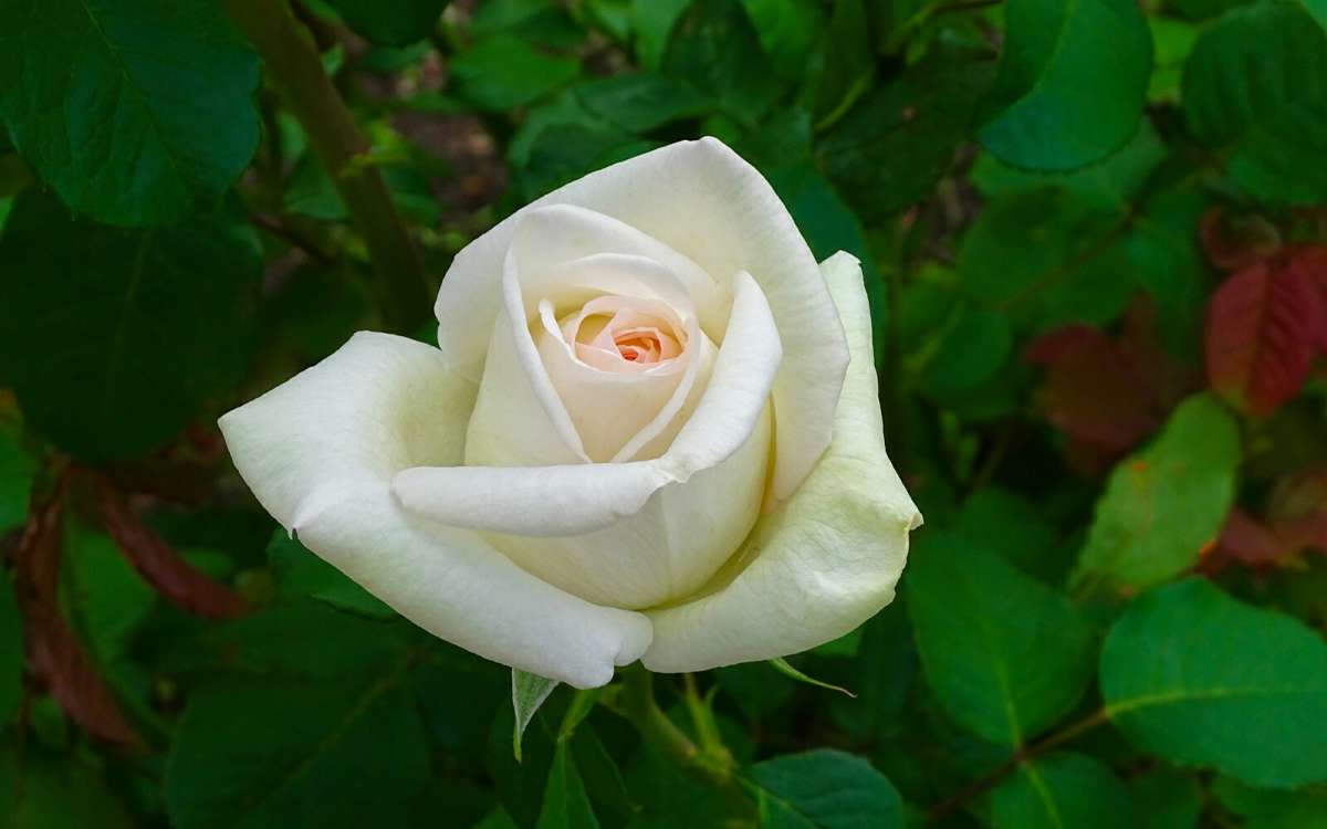 ��������� �����. ����� �������� �������� �� PhotoGeek.ru #����� #�����