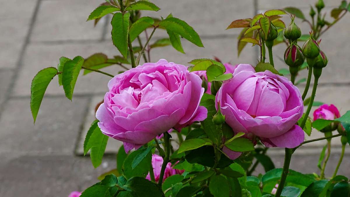 ��������� ����� ����� �������� �������� �� PhotoGeek.ru #����� #�����