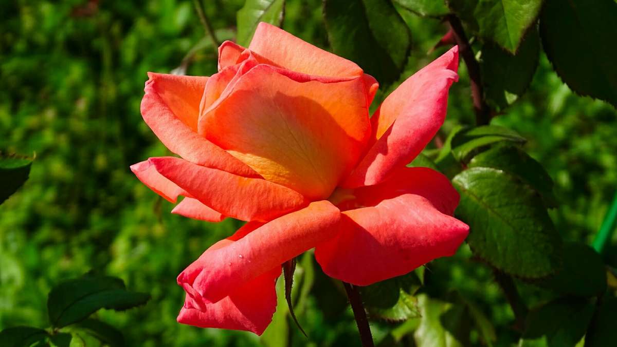 ��������� ����� ����� �������� �������� �� PhotoGeek.ru #����� #�����