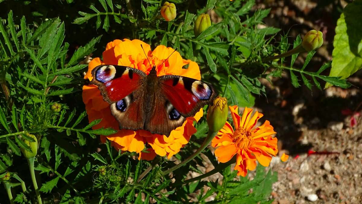 � ��������. ����� �������� �������� �� PhotoGeek.ru #����� #����� #������ ��� �������