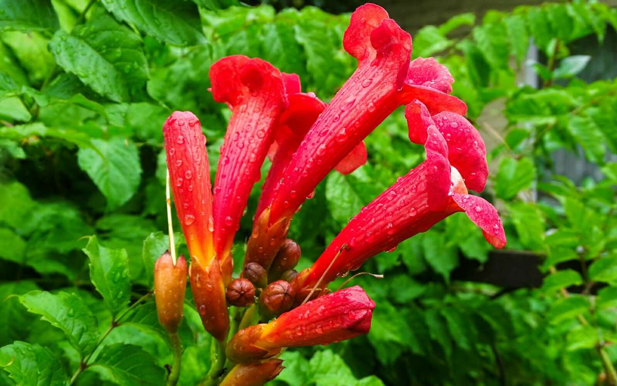 ������� ����� �����. ����� �������� �������� �� PhotoGeek.ru #����� #�����