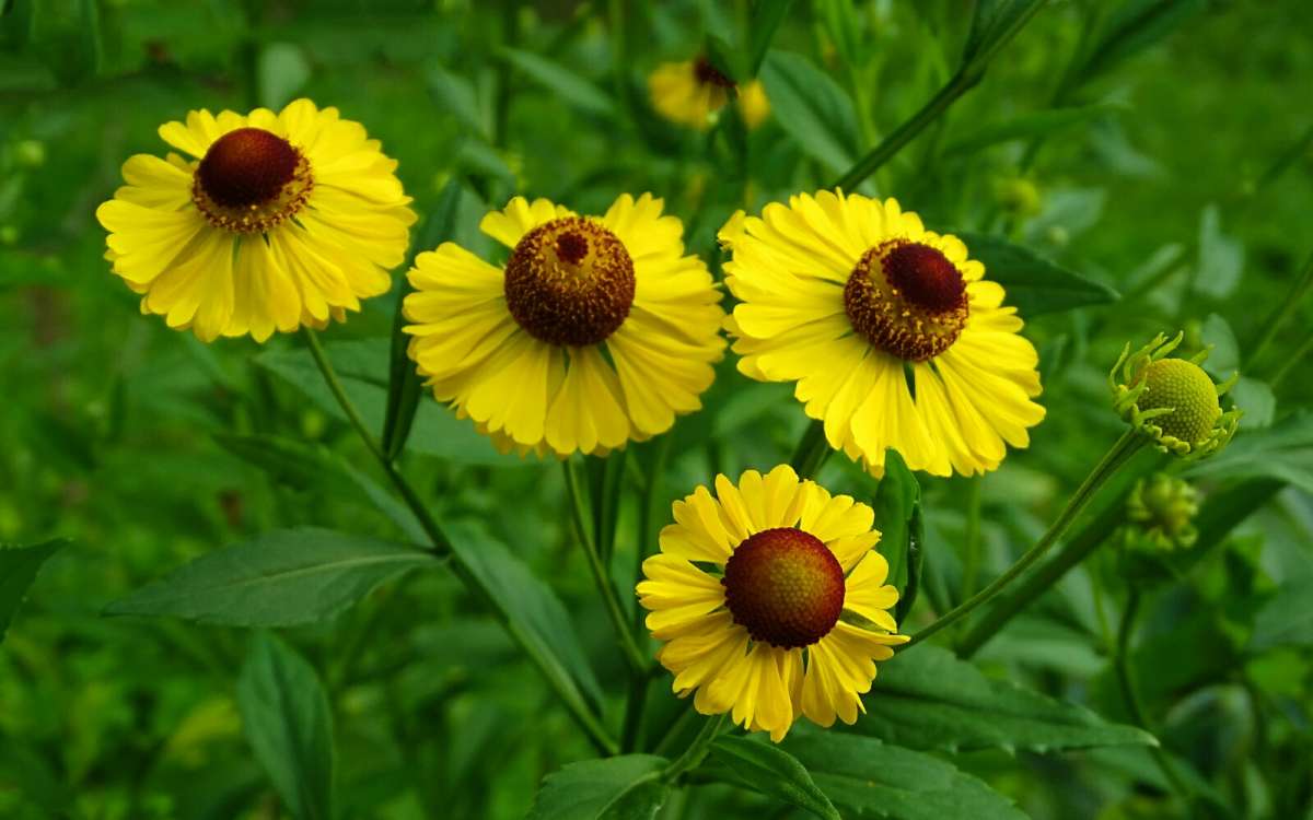 ����� �������. ����� �������� �������� �� PhotoGeek.ru #����� #�����