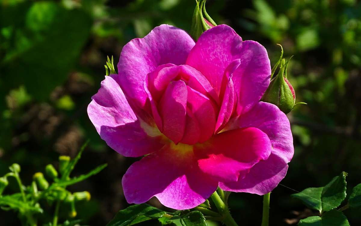 ��������� �����. ����� �������� �������� �� PhotoGeek.ru #����� #�����