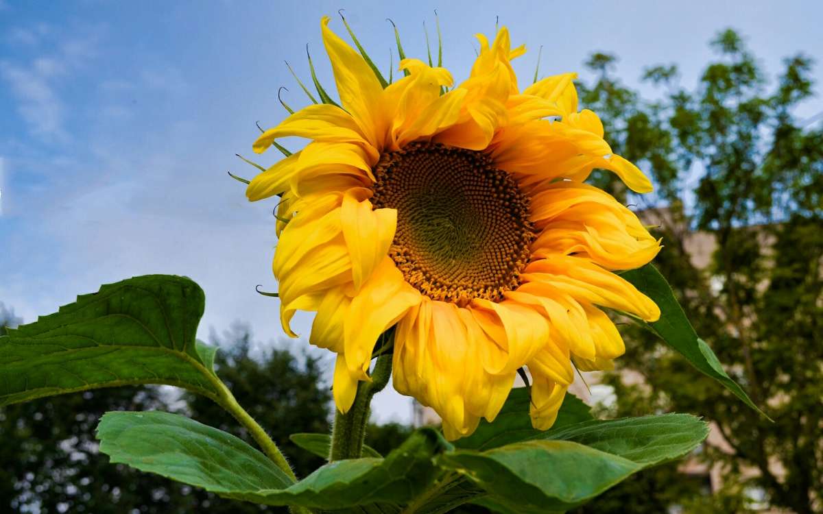 ����������� � ����������� �����. ����� �������� �������� �� PhotoGeek.ru #����� #�����