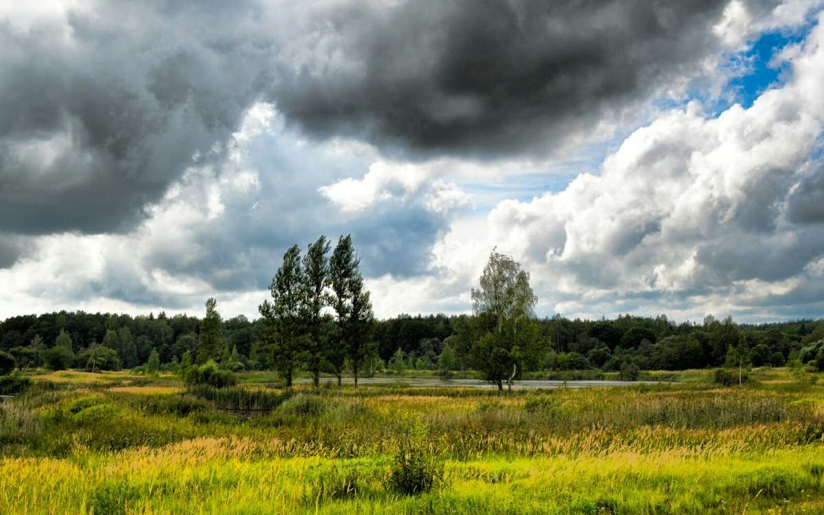 �������� ����. ����� �������� �������� �� PhotoGeek.ru #������ ��� �������