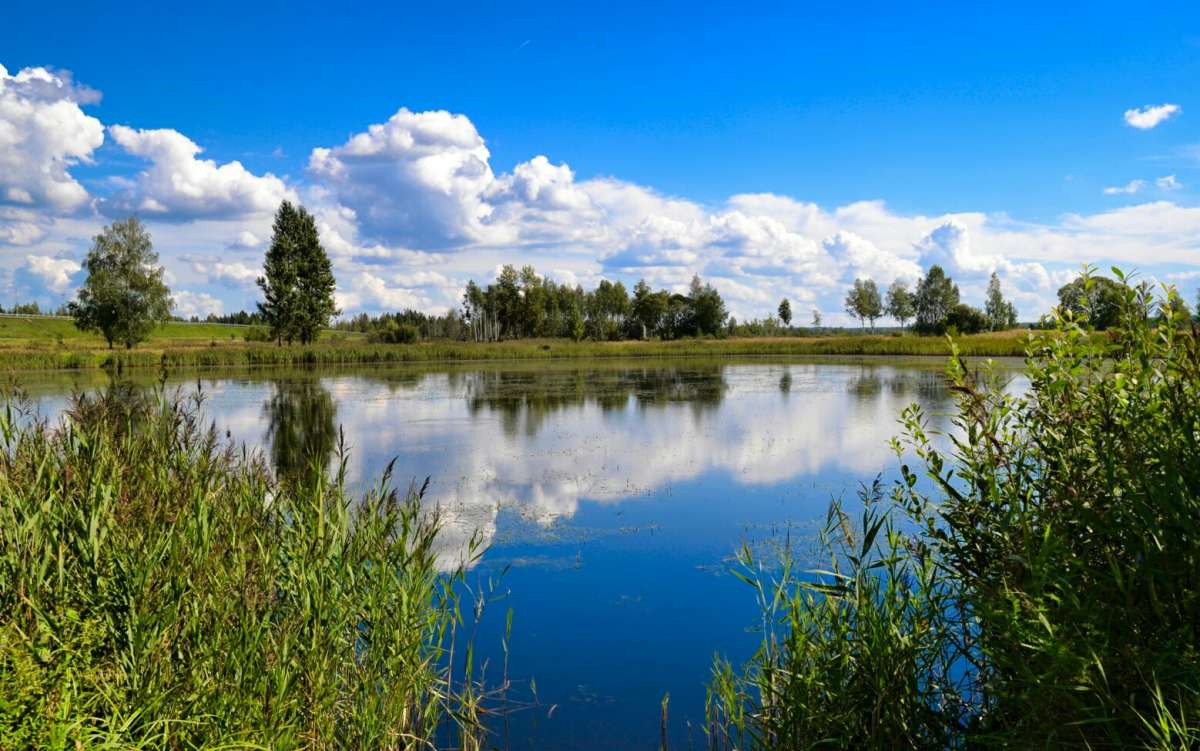 ������ ����� �������� �������� �� PhotoGeek.ru #������ ��� �������