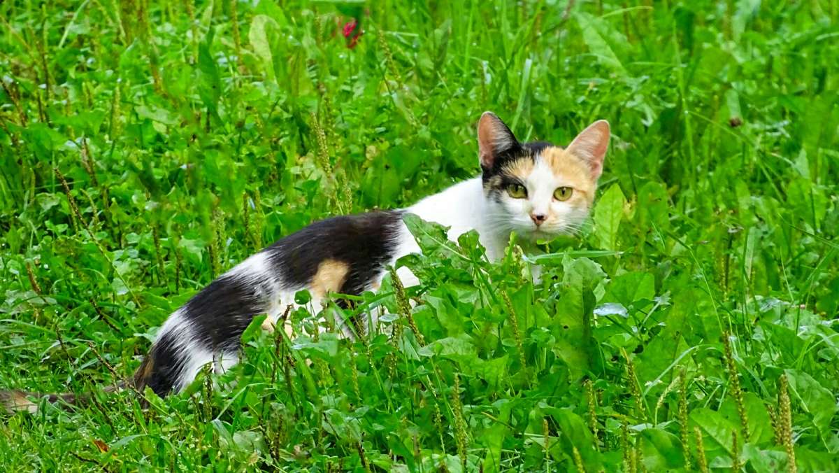 ��������� ������ � �������. ����� �������� �������� �� PhotoGeek.ru #�������� ���