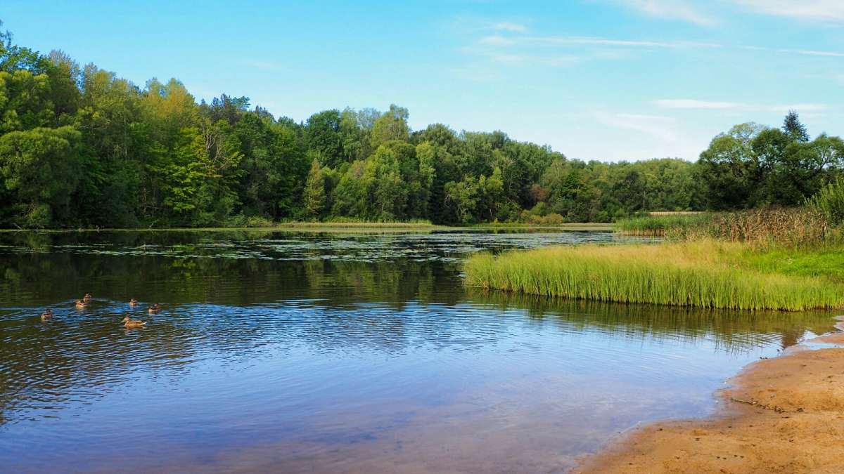 ���� ����. ����� �������� �������� �� PhotoGeek.ru #������ ��� �������