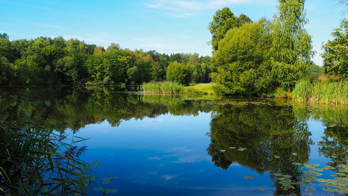 ����� �����! ����� �������� �������� �� PhotoGeek.ru #������ ��� �������