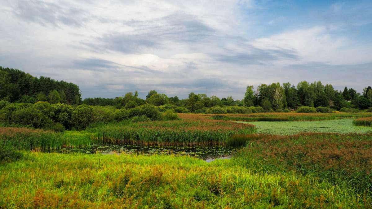 ������. ����� �������� �������� �� PhotoGeek.ru #������ ��� �������