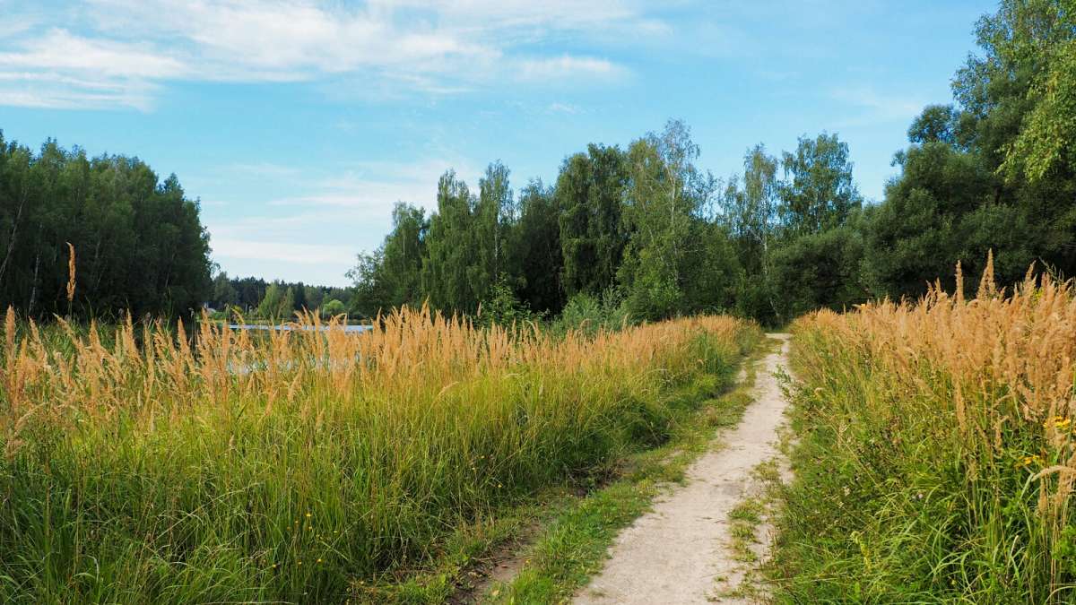 �������� ������� �� ������ �����. ����� �������� �������� �� PhotoGeek.ru #������ ��� �������