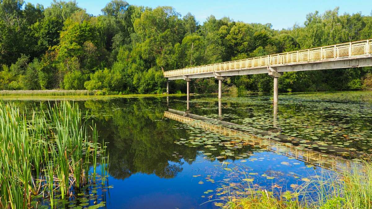 ���� ����� �����. ����� �������� �������� �� PhotoGeek.ru #������ ��� ������� #�����������