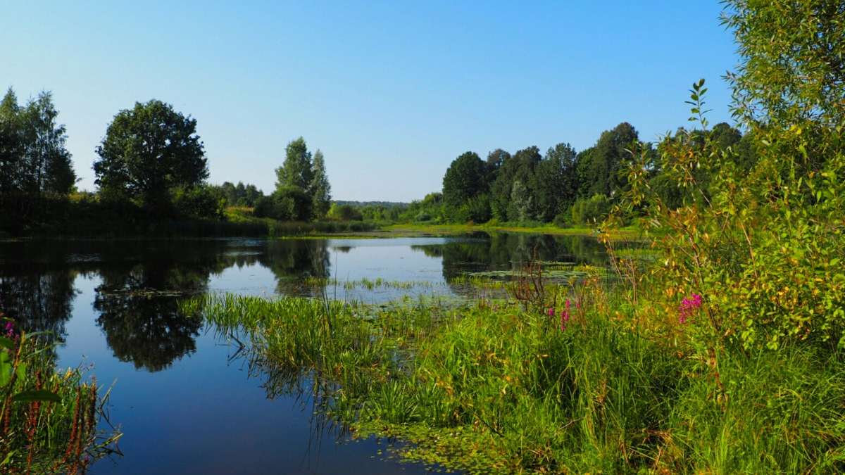 ������ ����� �������� �������� �� PhotoGeek.ru #������ ��� �������