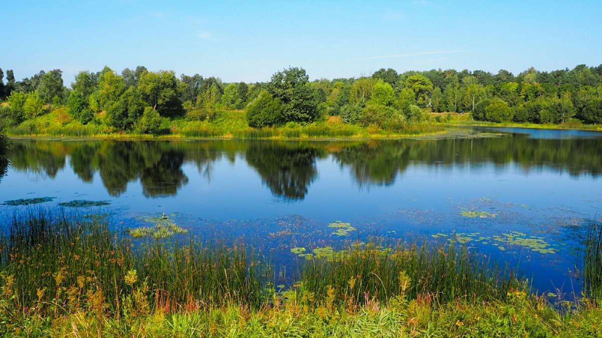 ���� ����������. ����� �������� �������� �� PhotoGeek.ru #������ ��� �������