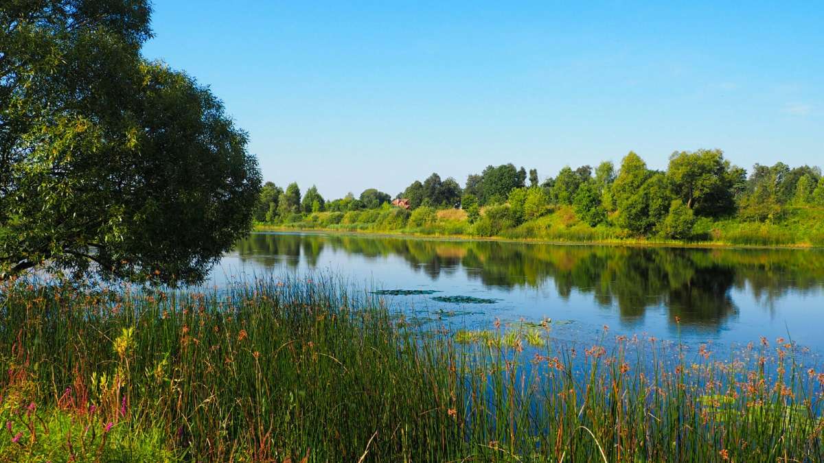 ���� - ������ ����� �������� �������� �� PhotoGeek.ru #������ ��� �������