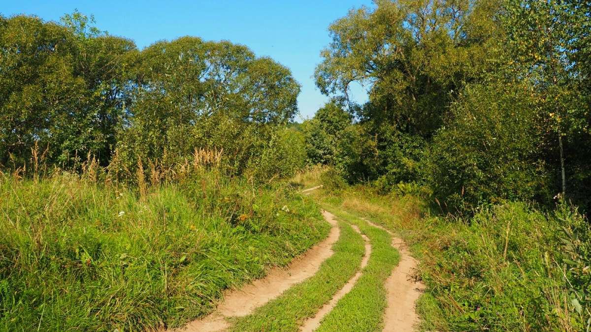 ������ ������� ����� �������� �������� �� PhotoGeek.ru #������ ��� �������