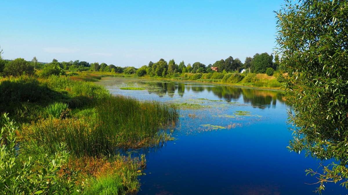 ��� ���� ����� �������� �������� �� PhotoGeek.ru #������ ��� �������