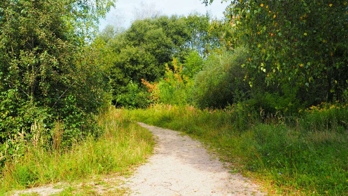 ����������� ����������� �����. ����� �������� �������� �� PhotoGeek.ru #������ ��� �������