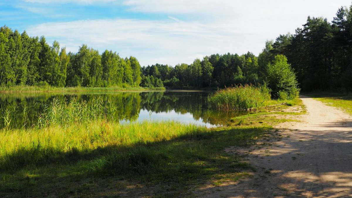 ��������� ��� ����. ����� �������� �������� �� PhotoGeek.ru #������ ��� �������