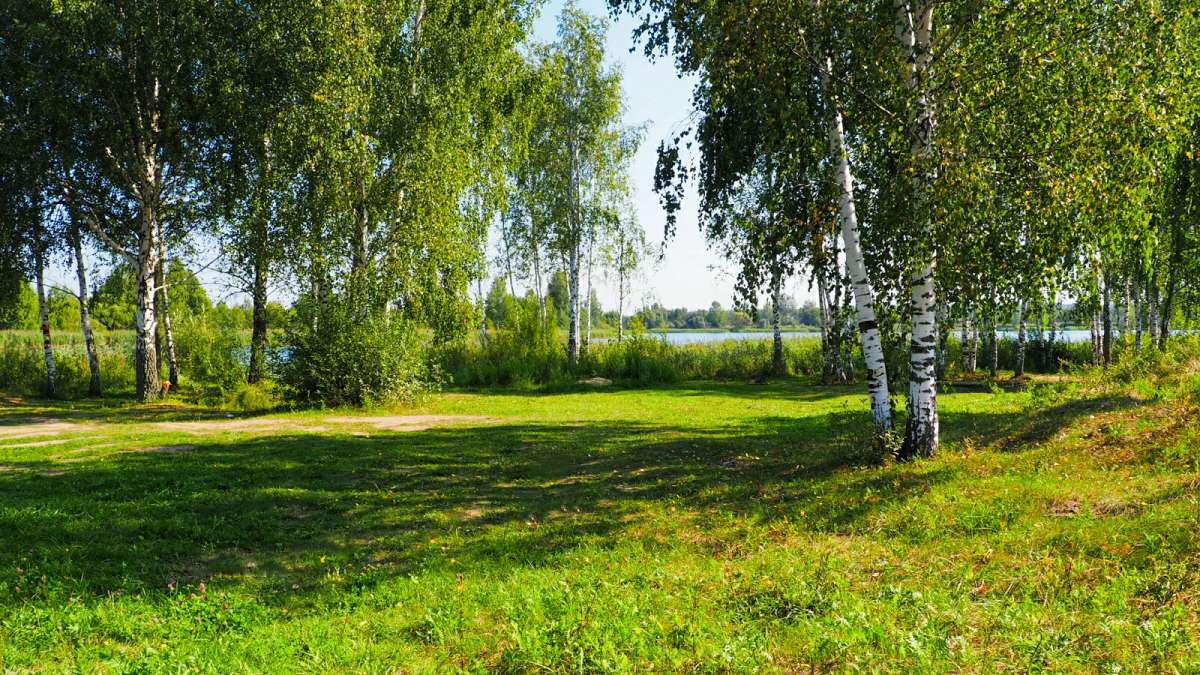 �������� ������ �� ������ �����. ����� �������� �������� �� PhotoGeek.ru #������ ��� �������