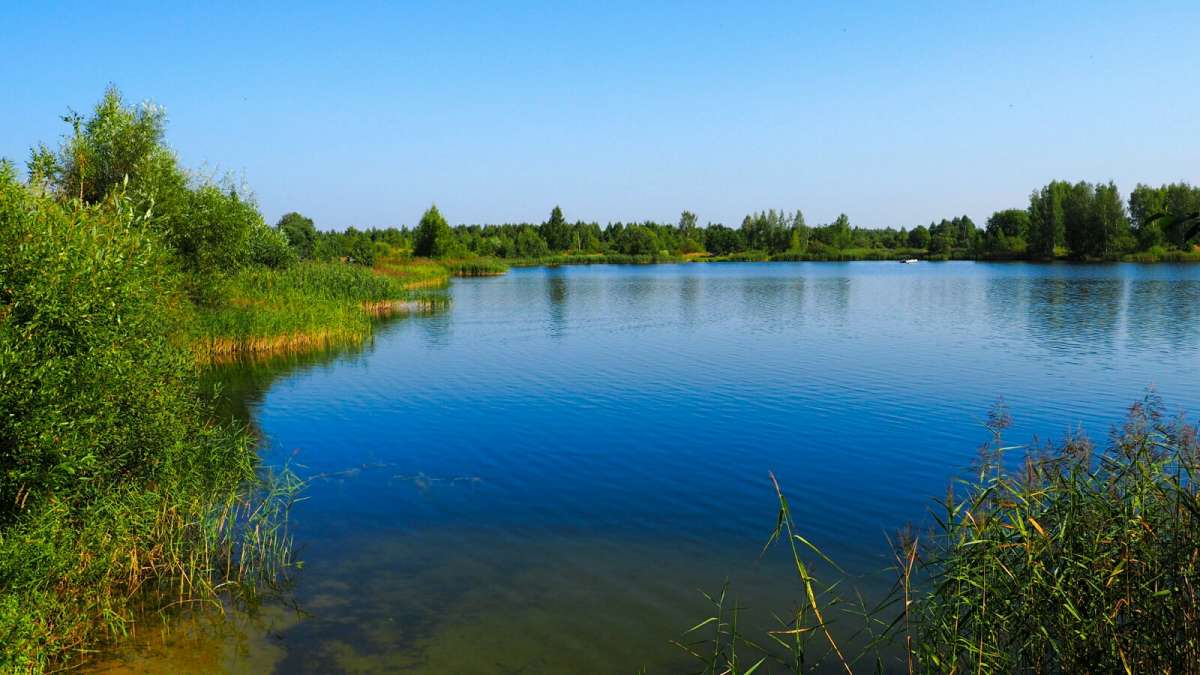 ��� ���� ����� �������� �������� �� PhotoGeek.ru #������ ��� �������