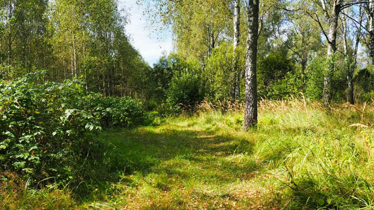 ������� ���. ����� �������� �������� �� PhotoGeek.ru #������ ��� �������