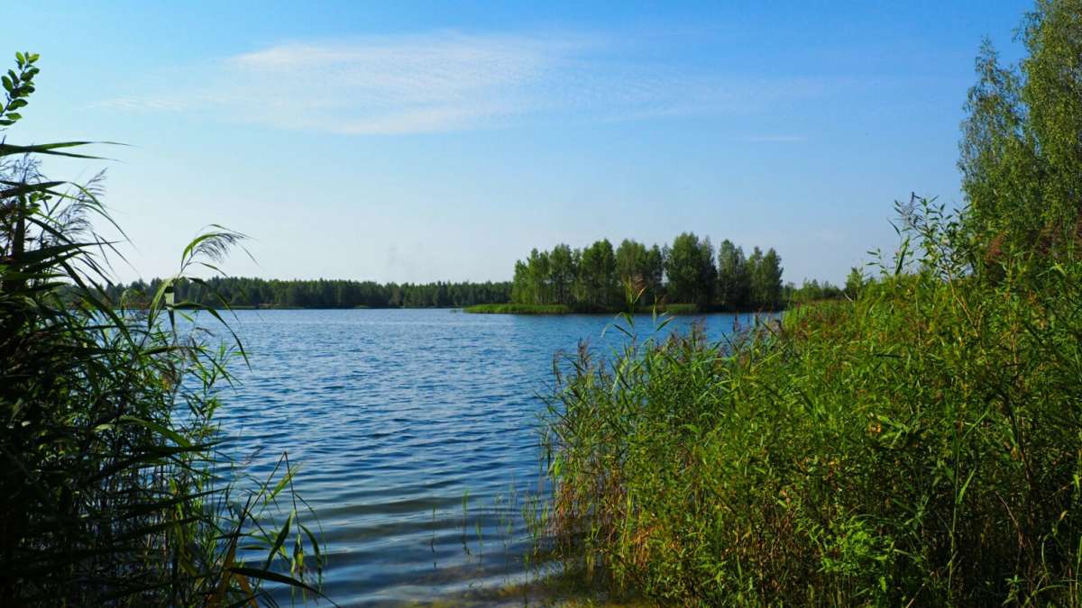 ��� ���� ����� �������� �������� �� PhotoGeek.ru #������ ��� �������