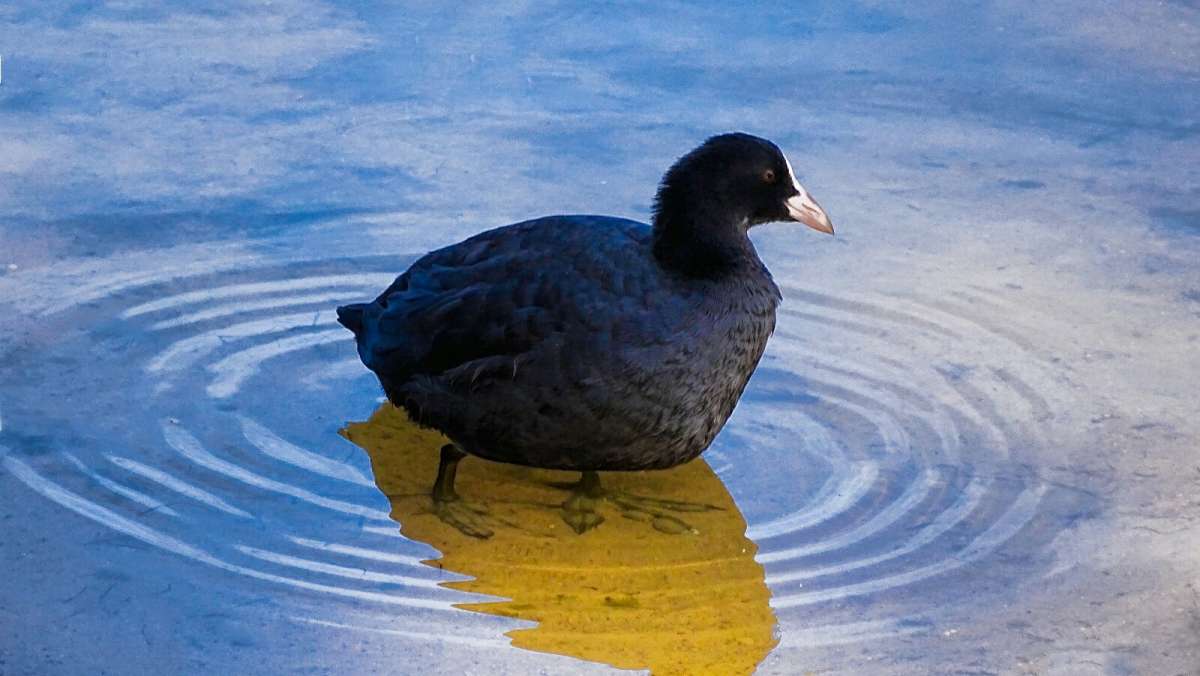 ������ ������. ����� �������� �������� �� PhotoGeek.ru #�������� ���