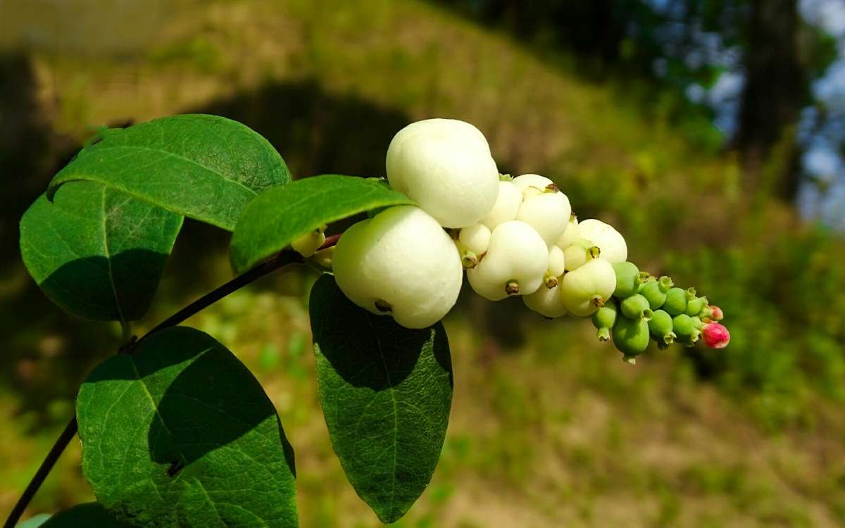 ����� �������������. ����� �������� �������� �� PhotoGeek.ru #����� #�����