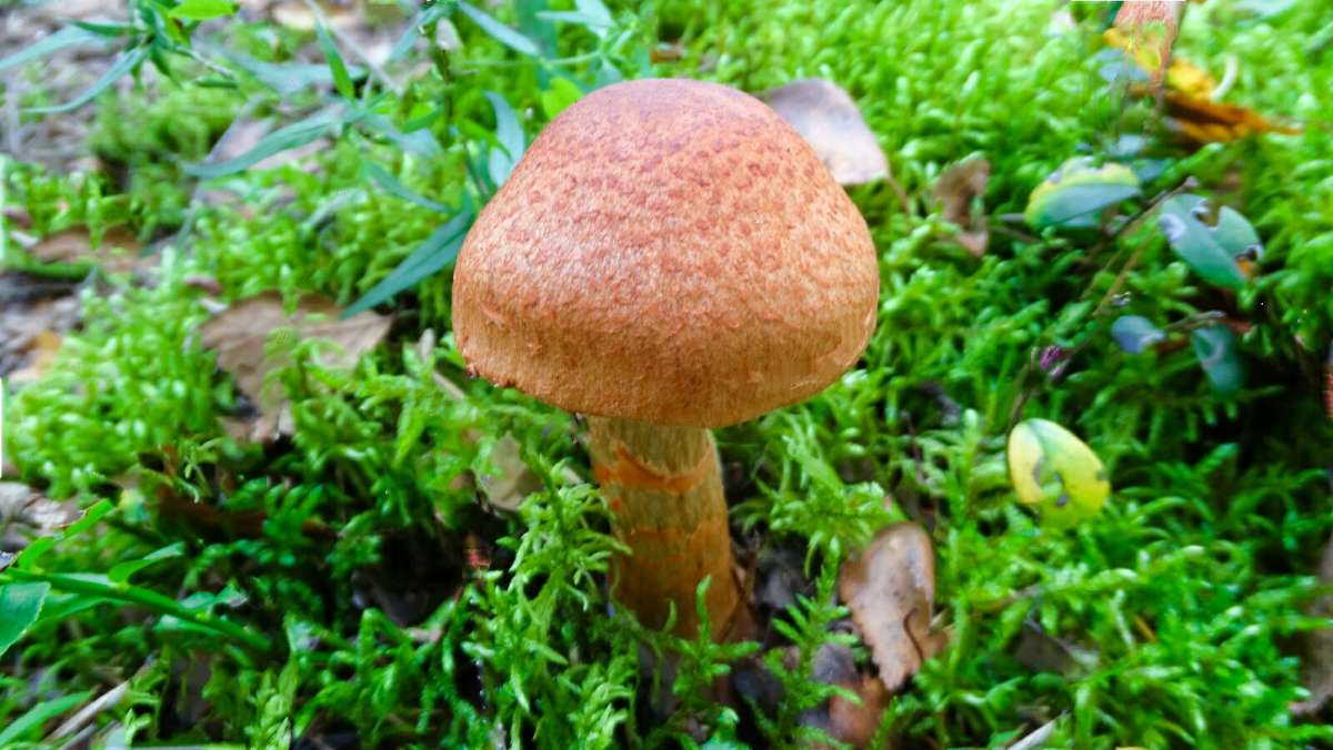 ������ ����� ����� �������� �������� �� PhotoGeek.ru #����� #������ ��� �������