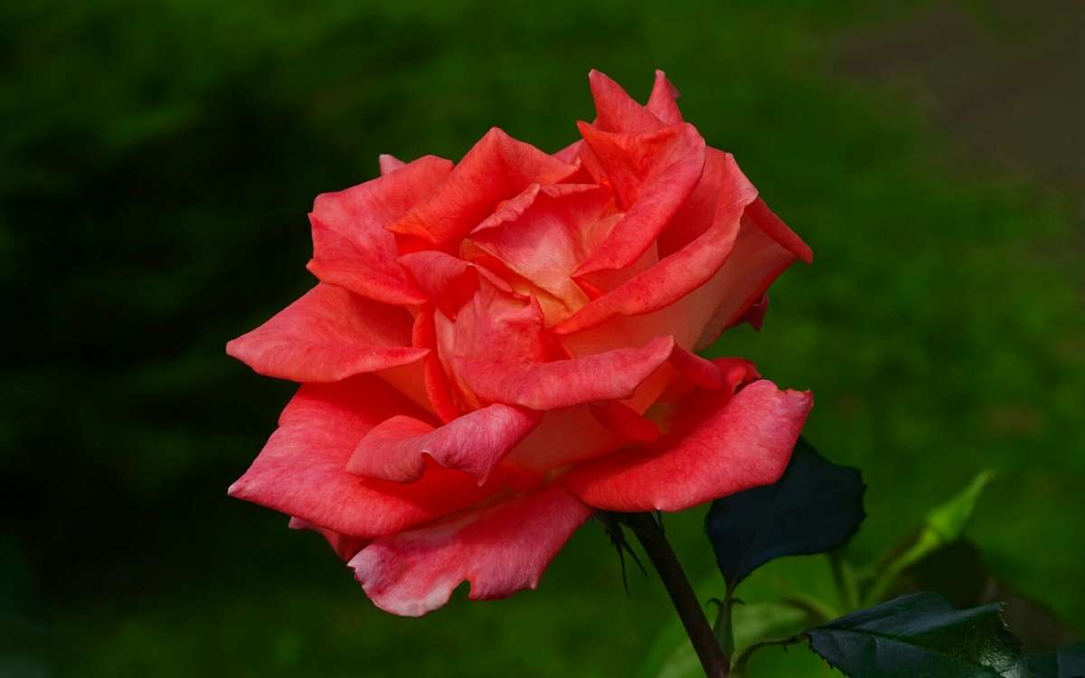 ��������� ����. ����� �������� �������� �� PhotoGeek.ru #����� #�����