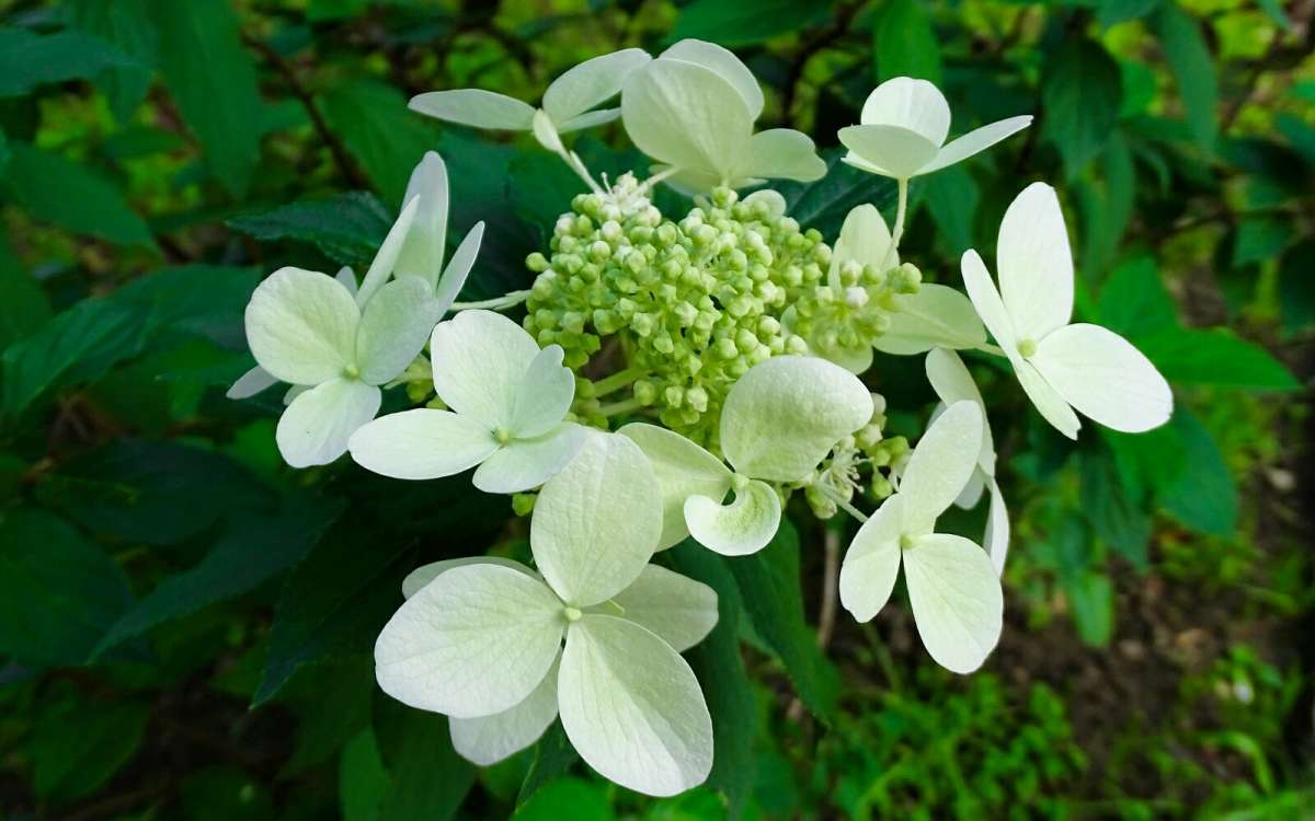 ��������� �� ��������� ������. ����� �������� �������� �� PhotoGeek.ru #����� #�����