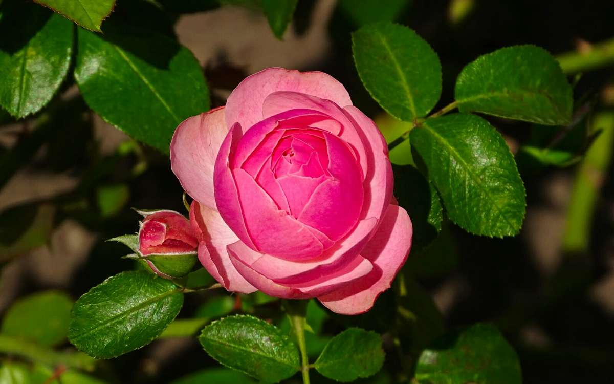 ��������� ����� ����� �������� �������� �� PhotoGeek.ru #����� #�����